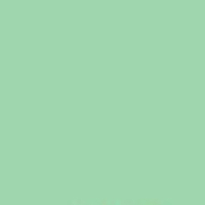 E-Colour+ #122: Fern Green 
