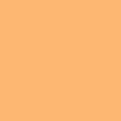 E-Colour+ #204: Full CT Orange 