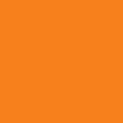 E-Colour+ #287: Double CT Orange 