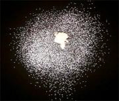 PP484 25' Medium Sparkburst