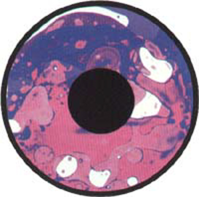 Optikinetics C (Pink/Purple) FG7038C