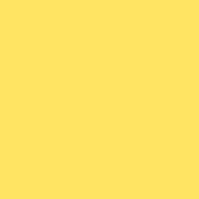 ROSCOLUX R313 Light Relief Yellow