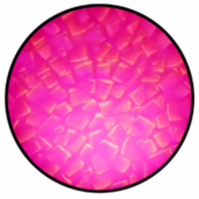 33303 Magenta Mosaic