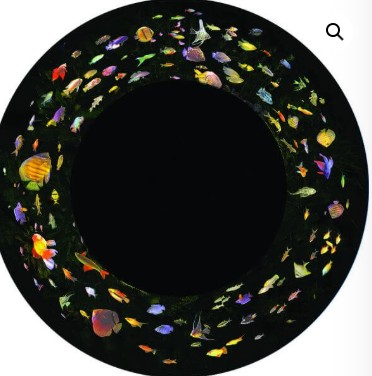 OPTI MAX Aquarium FG7976