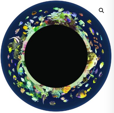 OPTI MAX Coral Reef FG7974