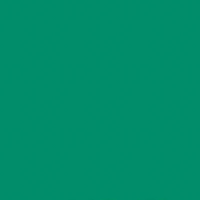 E-Colour+ #124: Dark Green 