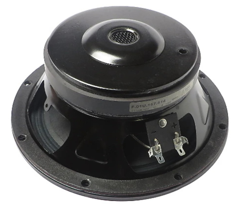 EV ZX1 Woofer F.01U.167.614