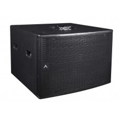 Axiom SW2100P Subwoofer (passive)