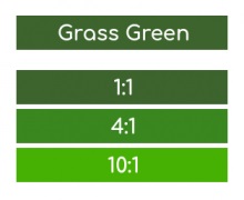 ROSCO Supersat Grass Green - 5 Litre 59945
