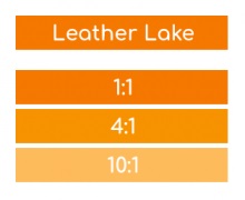 ROSCO Supersat Leather Lake - 1 Litre 59931