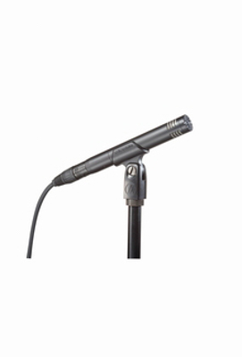Audio Technica AT2031 Cardioid Condenser Microphone For Stringed Instruments 