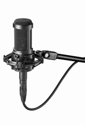 Audio Technica AT2050 Multi-pattern Condenser Microphone 